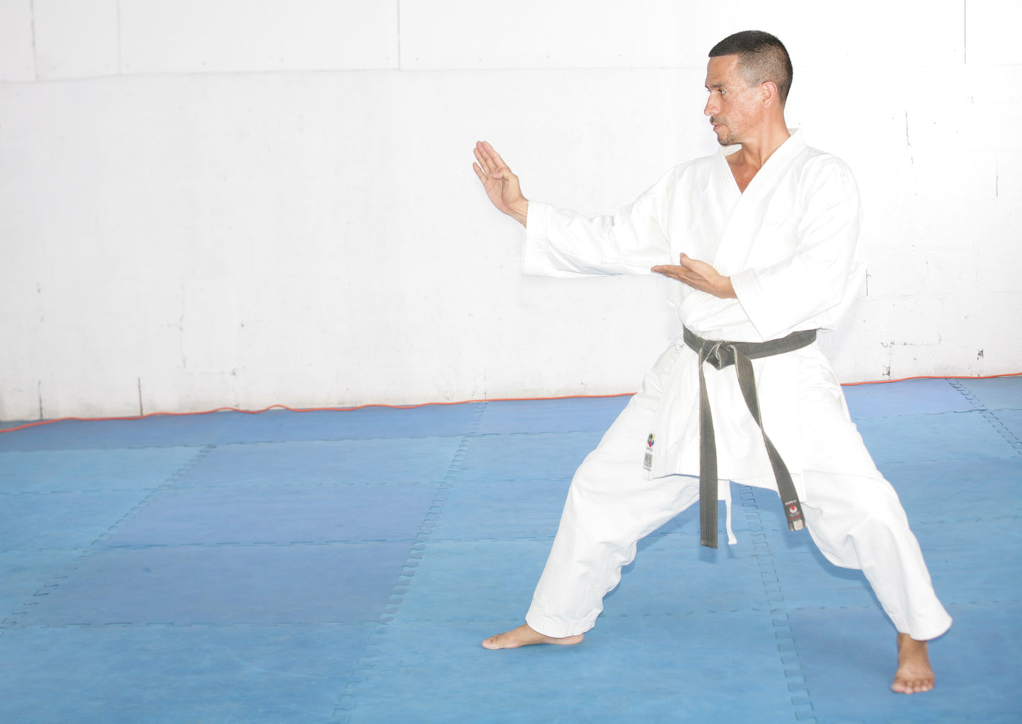 Karate, Judo & Taekwondo Belts